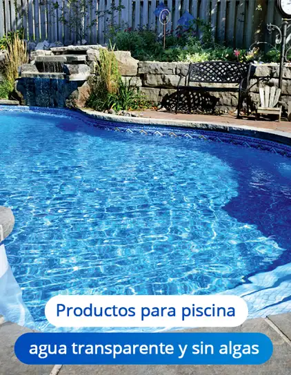 productos-para-piscina-agua-transparente-y-sin-algas-chile-talca-impaltda